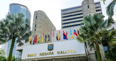Why Malaysia needs the D-SIB framework