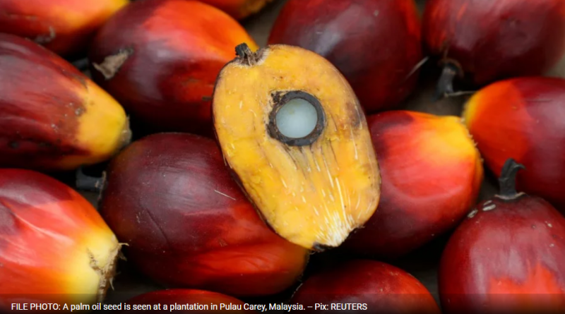 Malaysian palm oil group urges industry to tap tech to save forests