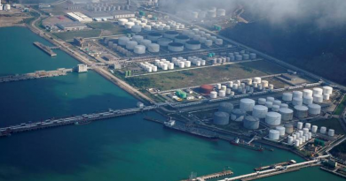 Stranded tankers, full storage tanks: Covid-19 leads to crude glut in China