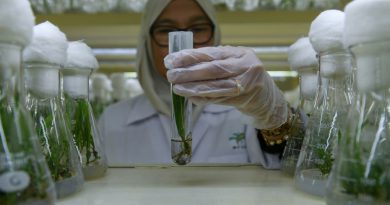 PM: Malaysia to implement B30 biodiesel mandate in transport sector before 2025
