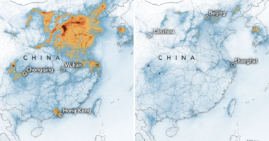 China’s air pollution dropped dramatically after coronavirus lockdown
