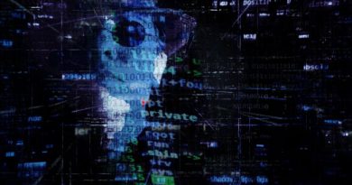 e-Crime is the top threat businesses are facing