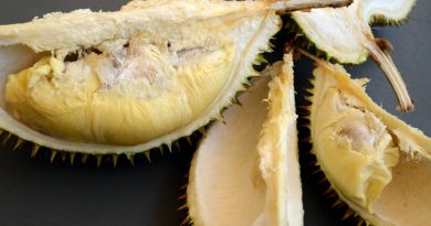 Scientists in Australia say durian has potential to charge devices in the future