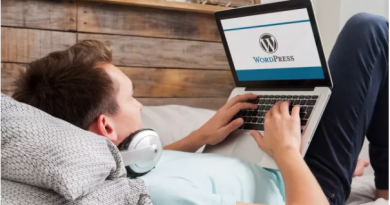 WordPress to add auto-update feature for themes and plugins